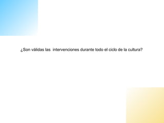 ¿Son válidas las intervenciones durante todo el ciclo de la cultura?
 