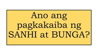Ano ang
pagkakaiba ng
SANHI at BUNGA?
 