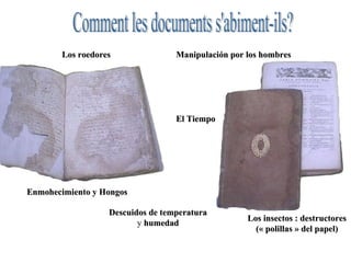 El Tiempo Enmohecimiento y Hongos  Descuidos de temperatura  y  humedad Los roedores Los insectos : destructores (« polillas » del papel) Manipulación por los hombres Comment les documents s'abiment-ils?  