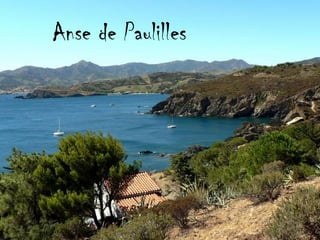 Anse de Paulilles
 