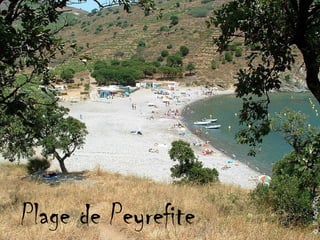 Plage de Peyrefite
 