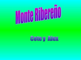 Monte Ribereño por Cote y Alex 3er año