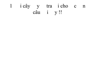 1 i cây y tra i cho c n
câu i y !!
 