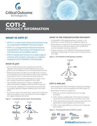 WHAT IS COTI-2?
•	 COTI-2 is a novel small molecule discovered using
our proprietary CHEMSAS®
discovery engine.
•	 COTI-2 is a 3rd generation thiosemicarbazone
engineered for low toxicity and designed as an
oral treatment of susceptible cancers.
•	 COTI-2 restores p53 function to a wide range of
common p53 mutations and acts as a negative
modulator of the PI3K/AKT/mTOR pathway.
WHAT IS p53?
•	 p53 is a multifunctional tumor suppressor protein that
regulates many important cellular responses, such as cell
growth arrest and apoptosis, to environmental/external stress1
.
•	 Mutant p53 proteins are often found at high levels in cancers
and contribute to the transformation of cancer cells, metastasis
(the spread of tumors to new sites) and drug resistance2
.
•	 TP53 is the most frequently mutated gene in human cancer
with mutation frequencies ranging from 38 to 96%3
.
•	 The simplified representation in Figure 1 highlights the
differences between wildtype (normal p53) and mutant p532
.
•	 In normal cells, wildtype p53 is maintained at low levels due
to the tightly regulated negative feedback loop it forms with
MDM2
.
•	 In cancerous cells, on the other hand, mutant p53 is stable and
often accumulates in tumor cells because it cannot engage in
the negative feedback mechanism.
Figure 1. A simplified representation of p53 pathway.
WHAT IS THE PI3K/AKT/mTOR PATHWAY?
•	 The PI3K/AKT/mTOR signaling pathway is involved in cell
proliferation, survival, motility, and metabolism (Figure 2)4
.
•	 Abnormalities or mutations in this pathway are typically found
in many cancerous cells, which lead to tumor proliferation,
survival, metastasis, and drug resistance5
.
•	 Frequent activation of the PI3K/AKT/mTOR pathway has been
reported in a broad range of human cancers at frequencies of
up to 50%6
.
Figure 2. The PI3K/AKT/mTOR pathway simplified.
COTI-2 AND p53
•	 Data indicates that COTI-2 normalizes mutant p53 to wildtype-
like conformation to promote apoptosis/cell death (Figure 3).  
•	 Experimental evidence to support this:
1.	 COTI-2 IC50
and p53 mutational status are strongly
correlated.
2.	 COTI-2 induces a ‘wildtype-like’ conformational change in
mutant p53 in ovarian, pancreatic, and other cancer cells.
3.	 COTI-2 significantly reduces p53 mutant protein levels and
significantly increases wildtype p53 protein levels.
4.	 COTI-2 is also highly effective in animal tumor models with
p53 mutations.
Figure 3. The proposed action of COTI-2 on p53.
MUT	p53 COTI-2
MUT	p53
Sequence-specific	
transactivation
defective
Conformational	change	
to	a	more	wildtype	
configuration
Restoration	of	sequence-
specific	transcriptional	
activity
Apoptosis,	
growth	arrest,	
senescence
MUT	p53
COTI-2
COTI-2
PRODUCT INFORMATION
CriticalOutcome.com
MDM2
External	Stress
WT	p53
p53	Target	Gene	Transcription
Cell	Cycle	Arrest
Apoptosis
Senescence
MDM2
MUT	p53
Transformation
Invasion		Metastases
Drug	Resistance
p63 p73 Other	ProteinsWT	p53
WT	p53
External	Stress
PTEN
PI3K
AKT
Survival	Signals
GSK-3 FOXO3 BAD mTOR
Survival		Proliferation
Metastasis
Drug	Resistance
PTEN
PI3K
AKT
Survival	Signals
GSK-3 FOXO3 BAD mTOR
Survival		Proliferation
Metastasis
Drug	Resistance
 