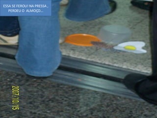 ESSA SE FEROU! NA PRESSA , PERDEU O  ALMOÇO... 