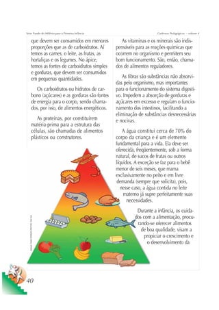 Série Fundo do Milênio para a Primeira Infância                                              Cadernos Pedagógicos – volume 4

                             que devem ser consumidos em menores           As vitaminas e os minerais são indis-
                             proporções que as de carboidratos. Aí      pensáveis para as reações químicas que
                             temos as carnes, o leite, as frutas, as    ocorrem no organismo e permitem seu
                             hortaliças e os legumes. No ápice,         bom funcionamento. São, então, chama-
                             temos as fontes de carboidratos simples    dos de alimentos reguladores.
                             e gorduras, que devem ser consumidos
                             em pequenas quantidades.                      As fibras são substâncias não absorvi-
                                                                        das pelo organismo, mas importantes
                                Os carboidratos ou hidratos de car-     para o funcionamento do sistema digesti-
                             bono (açúcares) e as gorduras são fontes   vo. Impedem a absorção de gorduras e
                             de energia para o corpo, sendo chama-      açúcares em excesso e regulam o funcio-
                             dos, por isso, de alimentos energéticos.   namento dos intestinos, facilitando a
                                                                        eliminação de substâncias desnecessárias
                                As proteínas, por constituírem          e nocivas.
                             matéria-prima para a estrutura das
                             células, são chamadas de alimentos             A água constitui cerca de 70% do
                             plásticos ou construtores.                 corpo da criança e é um elemento
                                                                        fundamental para a vida. Ela deve ser
                                                                        oferecida, freqüentemente, sob a forma
                                                                        natural, de sucos de frutas ou outros
                                                                        líquidos. A exceção se faz para o bebê
                                                                        menor de seis meses, que mama
                                                                        exclusivamente no peito e em livre
                                                                         demanda (sempre que solicita), pois,
                                                                           nesse caso, a água contida no leite
                                                                            materno já supre perfeitamente suas
                                                                              necessidades.
                                                                                  Durante a infância, os cuida-
                                                                                 dos com a alimentação, procu-
   Ilustração: Estúdio CRIANÇAS CRIATIVAS / Gian Calvi




                                                                                  rando-se oferecer alimentos
                                                                                    de boa qualidade, visam a
                                                                                      propiciar o crescimento e
                                                                                       o desenvolvimento da




40
 