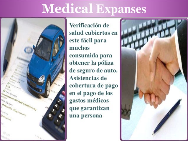 Automovil Cotizador Seguro