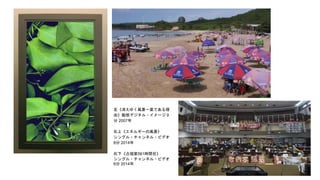 左《消えゆく風景ー葉である理
由》動態デジタル・イメージ 9
分 2007年
右上《エネルギーの風景》
シングル・チャンネル・ビデオ
8分 2014年
右下《占領第561時間目》
シングル・チャンネル・ビデオ
6分 2014年
 