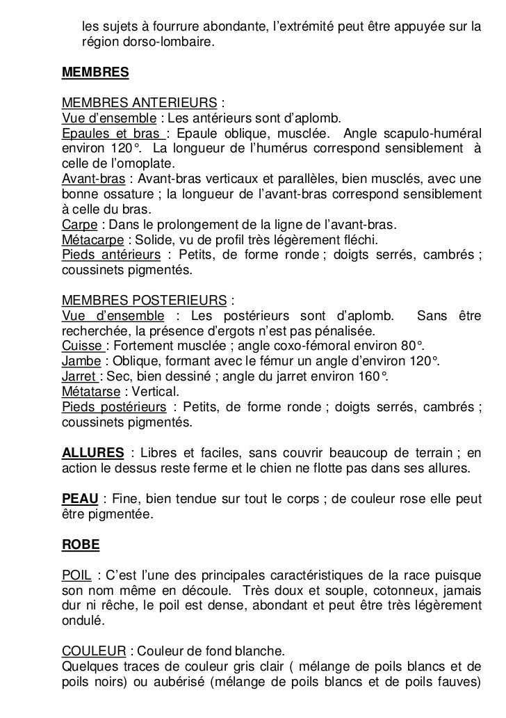 Coton Tulear Société Centrale Canine Fiche Race Groupe 9