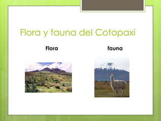 Flora y fauna del Cotopaxi
Flora fauna
 