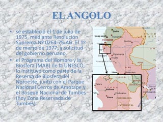 ELANGOLO
• se estableció el 1 de julio de
1975, mediante Resolución
Suprema Nº 0264-75-AG. El 1º
de marzo de 1977, a solicitud
del gobierno peruano.
• el Programa del Hombre y la
Biosfera (MAB) de la UNESCO,
lo instituyó como parte de la
Reserva de Biosfera del
Noroeste, junto con el Parque
Nacional Cerros de Amotape y
el Bosque Nacional de Tumbes
(hoy Zona Reservada de
Tumbes).
 
