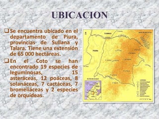 UBICACION
Se encuentra ubicado en el
departamento de Piura,
provincias de Sullana y
Talara. Tiene una extensión
de 65 000 hectáreas.
En el Coto se han
encontrado 19 especies de
leguminosas, 15
asteráceas, 12 poáceas, 8
solanáceas, 7 cactáceas, 7
bromeliáceas y 2 especies
de orquídeas.
 