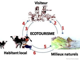 Prof.ssa Viviana Zoppo

 