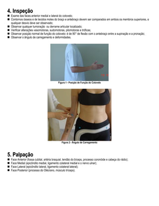 4. Inspeção
 Exame das faces anterior medial e lateral do cotovelo;
 Contornos ósseos e de tecidos moles do braço e antebraço devem ser comparados em ambos os membros superiores, e
 qualquer desvio deve ser observado;
 Observar qualquer tumoração ou derrame articular localizado;
 Verificar alterações vasomotoras, sudomotoras, pilomotoras e tróficas;
 Observar posição normal de função do cotovelo: é de 90° de flexão com o antebraço entre a supinação e a pronação;
 Observar o ângulo de carregamento e deformidades.




                                          Figura 1 - Posição de Função do Cotovelo




                                              Figura 2 - Ângulo de Carregamento




5. Palpação
 Face Anterior (fossa cubital, artéria braquial, tendão do bíceps, processo coronóide e cabeça do rádio);
 Face Medial (epicôndilo medial, ligamento colateral medial e o nervo ulnar);
 Face Lateral (epicôndilo lateral, ligamento colateral lateral);
 Face Posterior (processo do Olécrano, músculo tríceps).
 
