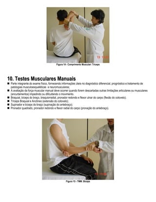 Figura 14 - Comprimento Muscular: Tríceps




10. Testes Musculares Manuais
 Parte integrante do exame físico, fornecendo informações úteis no diagnóstico diferencial, prognóstico e tratamento de
 patologias musculoesqueléticas e neuromusculares;
 A avaliação da força muscular manual deve ocorrer quando forem descartadas outras limitações articulares ou musculares
 (encurtamentos) impedindo ou dificultando o movimento.
 Braquial, bíceps do braço, braquiorradial, pronador redondo e flexor ulnar do carpo (flexão do cotovelo);
 Tríceps Braquial e Ancôneo (extensão do cotovelo);
 Supinador e bíceps do braço (supinação do antebraço);
 Pronador quadrado, pronador redondo e flexor radial do carpo (pronação do antebraço).




                                                 Figura 15 - TMM: Bíceps
 