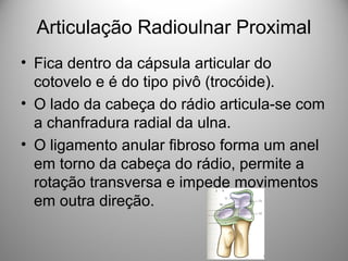 Articulação Radioulnar Proximal
• Fica dentro da cápsula articular do
cotovelo e é do tipo pivô (trocóide).
• O lado da cabeça do rádio articula-se com
a chanfradura radial da ulna.
• O ligamento anular fibroso forma um anel
em torno da cabeça do rádio, permite a
rotação transversa e impede movimentos
em outra direção.
 