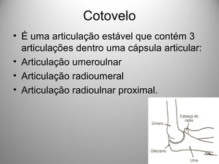 Cotovelo
• É uma articulação estável que contém 3
articulações dentro uma cápsula articular:
• Articulação umeroulnar
• Articulação radioumeral
• Articulação radioulnar proximal.
 