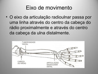 Eixo de movimento
• O eixo da articulação radioulnar passa por
uma linha através do centro da cabeça do
rádio proximalmente e através do centro
da cabeça da ulna distalmente.
 