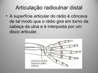 Articulação radioulnar distal
• A superfície articular do rádio é côncava
de tal modo que o rádio gira em torno da
cabeça da ulna e é interposta por um
disco articular.
 