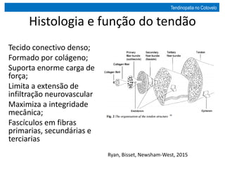 Histologia e função do tendão
Tecido conectivo denso;
Formado por colágeno;
Suporta enorme carga de
força;
Limita a extensão de
infiltração neurovascular
Maximiza a integridade
mecânica;
Fascículos em fibras
primarias, secundárias e
terciarias
Ryan, Bisset, Newsham-West, 2015
Tendinopatia no Cotovelo
 
