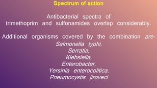 Spectrum of action
Antibacterial spectra of
trimethoprim and sulfonamides overlap considerably.
Additional organisms covered by the combination are-
Salmonella typhi,
Serratia,
Klebsiella,
Enterobacter,
Yersinia enterocolitica,
Pneumocystis jiroveci
 