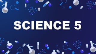 cot science 5 COVERS THE TOPIC about light | PPTX