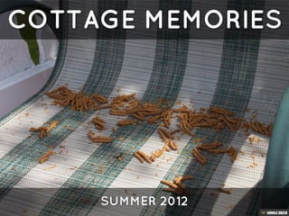 COTTAGE MEMORIES