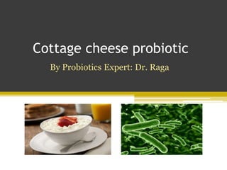 Cottage cheese probiotic
By Probiotics Expert: Dr. Raga
 