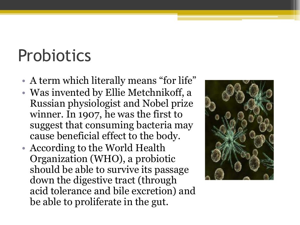 Cottage Cheese Probiotic