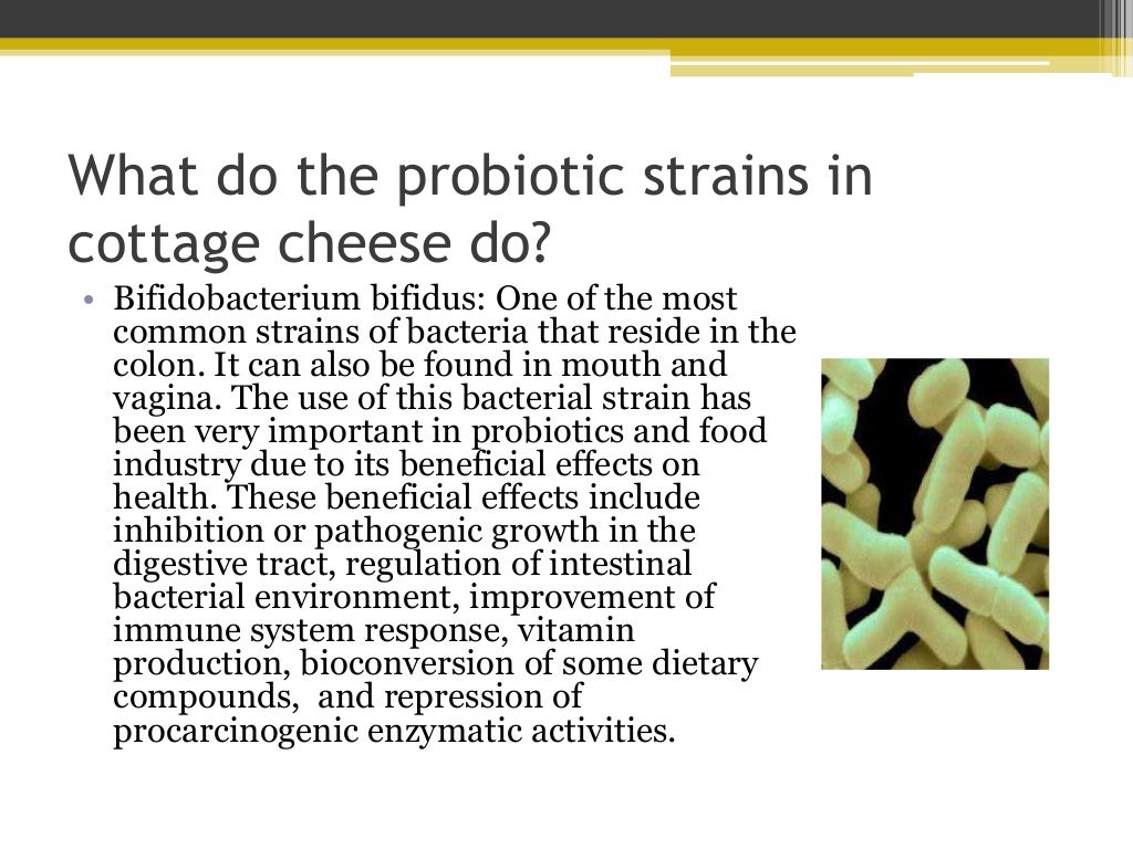 Does Pasteurized Cottage Cheese Have Probiotics at Shantelle Clark blog