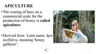 Apiculture Letering Cottage Industry.pdf apiculture and sericulture | PDF