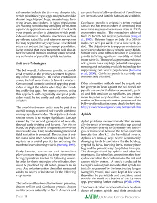 ral enemies include the tiny wasp Anaphes iole,        can contribute to boll weevil control if conditions
which parasitizes lygus eggs, and predators like       are favorable and suitable habitats are available.
damsel bugs, bigeyed bugs, assassin bugs, lace-
wing larvae, and spiders. If lygus populations         Catolaccus grandis is originally from tropical
are reaching economically damaging levels, then        Mexico but has been effective in controlling boll
a pesticide application is warranted. Check with       weevils in augmentative releases done in USDA
your organic certifier to determine which pesti-       cooperative studies. The researchers achieved
cides are allowed. Botanical insecticides such as      from 70 to 90% boll weevil parasitism (King et
pyrethrum, sabadilla, and rotenone are options         al., 1995). Releases began on July 19 at 350 fe-
but may be prohibitively expensive. Insecticidal       males per acre per week over a nine-week pe-
soaps can reduce the lygus nymph population.           riod. The objective was to suppress or eliminate
Keep in mind that these treatments will also af-       weevil reproduction in six organic cotton fields.
fect the natural enemies and may cause second-         Similar work done in Brazil resulted in Catolaccus
ary outbreaks of pests like aphids and mites.          grandis inflicting significant mortality on third
                                                       instar weevils. The use of augmentative releases
Boll weevil strategies                                 of C. grandis has a very high potential for supple-
                                                       menting and enhancing available technology for
The boll weevil, Anthonomus grandis, is consid-        suppressing boll weevil populations (Ramalho
ered by some as the primary deterrent to grow-         et al., 2000). Catolaccus grandis is currently not
ing cotton organically. In weevil eradication          commercially available.
zones, the boll weevil may be less of a concern.
Conventional controls consist of applying pesti-       Other alternative methods used by organic cot-
cides to target the adults when they start feed-       ton growers in Texas against the boll weevil are
ing and laying eggs. For organic systems, using        pyrethrum used with diatomaceous earth, garlic
this approach with organically accepted pesti-         oil and fish emulsion as repellants, and phero-
cides would be too costly and only moderately          mone traps for early detection. For more infor-
effective.                                             mation on Texas organic cotton growers and the
                                                       boll weevil eradication zones, check the Web site:
The use of short-season cotton may be part of an       http://www.texasorganic.com/BollWeevil.htm
overall strategy to control boll weevils with little
or no sprayed insecticides. The objective of short-    Aphids
season cotton is to escape significant damage
caused by the second generation of weevils,            Aphid problems in conventional cotton are usu-
through early fruiting and harvest. For this to        ally the result of secondary pest flair ups caused
occur, the population of first generation weevils      by excessive spraying for a primary pest like ly-
must also be low. Crop residue management and          gus or bollweevil, because the broad-spectrum
field sanitation is essential. Destruction of cot-     insecticides also kill the beneficial insects.
ton stalks soon after harvest has long been rec-       Aphids are usually kept below economically
ognized as a useful practice for reducing the          damaging levels by predators like the ladybug,
number of overwintering weevils (Sterling, 1989).      syrphid fly larva, lacewing larva, minute pirate
                                                       bug, and the parasitic wasp Lysiphlebus testaceipes.
Early harvest, sanitation, and immediate               The damage caused by aphids and other ho-
plowdown are strategies that keep the overwin-         mopterans, like whiteflies, comes from their hon-
tering populations low for the following season.       eydew excretion that contaminates the lint and
In order for these strategies to be effective, they    causes sticky cotton. A study conducted in
must be practiced by all cotton growers in an          Georgia’s coastal plain indicates that aphids are
area. Any volunteer cotton plants that are missed      initially suppressed by the insect-eating fungus
can be the source of infestation for the following     Neozygites fresenii, and were kept at low levels
crop season.                                           thereafter by parasitoids and predators, most
                                                       notably the small lady beetles of the Scymnus
                                                       spp., preventing further outbreak (Wells, 1999).
The boll weevil has two effective insect parasites,
Bracon mellitor and Catolaccus grandis. Bracon         The choice of cotton varieties influences the abun-
mellitor occurs naturally in North America and         dance of cotton aphids and their associated

PAGE 14                                                              //ORGANIC COTTON PRODUCTION
 