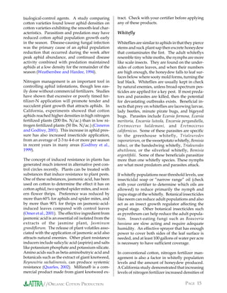 biological-control agents. A study comparing          tract. Check with your certifier before applying
cotton varieties found lower aphid densities on       any of these products.
cotton varieties exhibiting the smooth-leaf char-
acteristics. Parasitism and predation may have        Whitefly
reduced cotton aphid population growth early
in the season. Disease-causing fungal infection       Whiteflies are similar to aphids in that they pierce
was the primary cause of an aphid population          stems and suck plant sap then excrete honeydew
reduction that occurred during the week after         that contaminates the lint. The adult whiteflys
peak aphid abundance, and continued disease           resemble tiny white moths, the nymphs are more
activity combined with predation maintained           like scale insects. They are found on the under-
aphids at a low density for the remainder of the      sides of cotton leaves, and when their numbers
season (Weathersbee and Hardee, 1994).                are high enough, the honeydew falls to leaf sur-
                                                      faces below where sooty mold forms, turning the
Nitrogen management is an important tool in           leaf black. Whiteflies are usually kept in check
controlling aphid infestations, though less eas-      by natural enemies, unless broad-spectrum pes-
ily done without commercial fertilizers. Studies      ticides are applied for a key pest. If most preda-
have shown that excessive or poorly timed fer-        tors and parasites are killed, then the potential
tilizer-N application will promote tender and         for devastating outbreaks exists. Beneficial in-
succulent plant growth that attracts aphids. In       sects that prey on whiteflies are lacewing larvae,
California, experiments showed that cotton            lady beetles, minute pirate bugs, and bigeyed
aphids reached higher densities in high nitrogen      bugs. Parasites include Ecarsia formosa, Ecarsia
fertilized plants (200 lbs. N/ac.) than in low ni-    meritoria, Encarsia luteola, Encarsia pergandiella,
trogen fertilized plants (50 lbs. N/ac.) (Cisneros    Eretmocerus haldemani, and Eretmocerus
and Godfrey, 2001). This increase in aphid pres-      californicus. Some of these parasites are specific
sure has also increased insecticide application,      to the greenhouse whitefly, Trialeurodes
from an average of 2-3 to 4-6 or more per season      vaporariorum, or the sweetpotato whitefly, Bemisia
in recent years in many areas (Godfrey et al.,        tabaci, or the bandedwing whitefly, Trialeurodes
1999).                                                abutilonea, or the silverleaf whitefly, Bemisia
                                                      argentifolii. Some of these beneficials parasitize
The concept of induced resistance in plants has       more than one whitefly species. These nymphs
generated much interest in alternative pest con-      are what most predators and parasites attack.
trol circles recently. Plants can be treated with
substances that induce resistance to plant pests.     If whitefly populations near threshold levels, use
One of these substances, jasmonic acid, has been      insecticidal soap or “narrow range” oil (check
used on cotton to determine the effect it has on      with your certifier to determine which oils are
cotton aphid, two spotted spider mites, and west-     allowed) to reduce primarily the nymph and
ern flower thrips. Preference was reduced by          pupa stage of the whitefly. Botanical insecticides
more than 60% for aphids and spider mites, and        like neem can reduce adult populations and also
by more than 90% for thrips on jasmonic-acid-         act as an insect growth regulator affecting the
induced leaves compared with control leaves           pupal stage. Other botanical insecticides such
(Omer et al., 2001). The effective ingredient from    as pyrethrum can help reduce the adult popula-
jasmonic acid is an essential oil isolated from the   tion. Insect-eating fungi such as Beauveria
extracts of the jasmine plant, Jasminum               bassiana are slow acting and require adequate
grandiflorum. The release of plant volatiles asso-    humidity. An effective sprayer that has enough
ciated with the application of jasmonic acid also     power to cover both sides of the leaf surface is
attracts natural enemies. Other plant resistance      needed, and at least 100 gallons of water per acre
inducers include salicylic acid (aspirin) and salts   is necessary to have sufficient coverage.
like potassium phosphate and potassium silicate.
Amino acids such as beta-aminobutryic acid and        In conventional cotton, nitrogen fertilizer man-
botanicals such as the extract of giant knotweed,     agement is also a factor in whitefly population
Reynoutria sachalinensis, can produce systemic        levels and the amount of honeydew produced.
resistance (Quarles, 2002). Milfana® is a com-        A California study demonstrated that increasing
mercial product made from giant knotweed ex-          levels of nitrogen fertilizer increased densities of

           //ORGANIC COTTON PRODUCTION                                                        PAGE 15
 