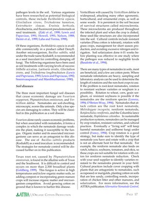 pathogen levels in the soil. Various organisms         Verticillium wilt caused by Verticillium dahliae is
have been researched as potential biological           widespread, attacking many other agronomic,
controls, these include Burkholderia cepacia,          horticultural, and ornamental crops, as well as
Gliocladium virens, Trichoderma hamatum,               some weeds. It is persistent in the soil because
Enterobacter cloacae, Erwinia herbicola,               of survival structures called microsclerotia.
rhizobacteria, and fluorescent pseudomonads as         These microsclerotia are produced throughout
seed treatments. (Zaki et al., 1998; Lewis and         the infected plant and when the crop is disked,
Papavizas, 1991; Howell, 1991; Nelson, 1988;           these seed-like structures are also incorporated
Demir et al., 1999; Laha and Verma, 1998).             into the soil. Cultural controls include resistant
                                                       varieties (Pima cotton is tolerant), rotation with
Of these organisms, Burkholderia cepacia is avail-     grass crops, management for short season pro-
able commercially in a product called Deny®.           duction, and avoiding excessive nitrogen and ir-
Another microorganism, Bacillus subtilis, sold         rigation. Soil solarization done 6-11 weeks be-
under the trade name Kodiak®, is recommended           fore planting was effective in one study where
as a seed inoculant for controlling damping off        the pathogen was reduced to negligible levels
fungi. The following organisms have been used          (Basalotte et al., 1994).
as soil treatments with varying levels of success:
Stilbella aciculosa, Laetisaria arvalis, Gliocladium   There are many types of nematodes in soils, most
virens, and Trichoderma longibrachiatum (Lewis         are beneficial, and a few are cotton pests. Where
and Papviazas, 1993; Lewis and Papviazas, 1992;        nematode infestations are heavy, sampling and
Sreenivasaprasad and Manibhushanrao, 1990).            laboratory analysis can be used to determine the
                                                       length of rotations and the non-host crops to use.
Soil diseases                                          If the problem is root-knot nematodes, rotation
                                                       to resistant soybean varieties or sorghum is a
The three most important fungal soil diseases          possibility. Rotation to wheat, corn, grain sor-
that cause economic damage are Fusarium                ghum, or resistant soybeans is possible if the
oxysporum, Phymatotrichum omnivorum, and Ver-          nematodes are the reniform species (Lorenz,
ticillium dahliae. Nematodes are soil-dwelling,        1994; O’Brrien-Wray, 1994). Nematodes that at-
microscopic, worm-like animals. Only a few spe-        tack cotton are the root knot nematode,
cies are damaging to cotton. They will be classi-      Meloidogyne incognita, reniform nematode,
fied in this publication as a soil disease.            Rotylenchulus reniformis, and the Columbia lance
                                                       nematode, Hoplolaimus columbus. In sustainable
Fusarium alone rarely causes economic problems,        production systems, nematodes can be managed
but when associated with nematodes, it forms a         by crop rotation, resistant varieties, and cultural
complex in which the nematode damage weak-             practices. Eventually a “living soil” will keep
ens the plant, making it susceptible to the fun-       harmful nematodes and soilborne fungi under
gus. Organic matter and its associated microor-        control (Yancy, 1994). Crop rotation is a good
ganisms can serve as an antagonist to this dis-        strategy, but make sure to identify the type of
ease. The use of Bacillus subtilis products            nematode you have and rotate with a crop that
(Kodiak®) as a seed inoculum is recommended.           is not an alternate host for that nematode. For
The strategies for nematode control will be dis-       example, the reniform nematode also feeds on
cussed further on in this publication.                 vetch, tobacco, soybeans, tomatoes, and okra, so
                                                       these crops are not suitable for rotation with cot-
Texas root rot, caused by Phymatotrichum               ton for reniform nematode reduction. Check
omnivorum, is found in the alkaline soils of Texas     with your seed supplier to identify varieties re-
and the Southwest. It is difficult to control and      sistant to the nematodes present in your field.
occurs on more than 2,300 broadleaf plants             Cultural practices include cover cropping with
(Goldberg, 1999). This fungus is active in high        plants that are antagonistic to nematodes, such
temperatures and in low organic-matter soils, so       as rapeseed or marigolds, planting cotton on soils
adding compost or incorporating green manure           that are less sandy, controlling weeds, incorpo-
crops will increase organic matter and microor-        ration of chicken litter and other manures, and
ganism competition. Avoid growing cotton on            solarization. For more information, see the
ground that is known to harbor this disease.           ATTRA publication Alternative Nematode Control.

           //ORGANIC COTTON PRODUCTION                                                         PAGE 17
 