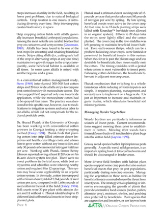 crops increases stability in the field, resulting in      Phatak used a crimson clover seeding rate of 15-
fewer pest problems, due to natural biological            pounds per acre that produced around 60 pounds
controls. Crop rotation is one means of intro-            of nitrogen per acre by spring. By late spring,
ducing diversity over time. Strip intercropping           beneficial insects were active in the cover crop.
creates biodiversity in space.                            At that time, 6- to 12-inch planting strips were
                                                          killed with Roundup™ herbicide (not allowed
Strip cropping cotton fields with alfalfa gener-          in an organic system). Fifteen to 20 days later
ally increases beneficial arthropod populations.          the strips were lightly tilled and the cotton
Among the most notable are carabid beetles that           planted. The cover crop in the row-middles was
prey on cutworms and armyworms (Grossman,                 left growing to maintain beneficial insect habi-
1989). Alfalfa has been found to be one of the            tat. Even early-season thrips, which can be a
best crops for attracting and retaining beneficial        problem following cover crops, were limited or
insects. Strip-cutting alfalfa (i.e., cutting only half   prevented by beneficial insects in this system.
of the crop in alternating strips at any one time)        When the clover is past the bloom stage and less
maintains two growth stages in the crop; conse-           desirable for beneficials, they move readily onto
quently, some beneficial habitat is available at          the cotton. The timing coincides with a period
all times. In some cases alfalfa is mixed with            when cotton is most vulnerable to insect pests.
another legume and a grass.                               Following cotton defoliation, the beneficials hi-
                                                          bernate in adjacent non-crop areas.
In a conventional cotton management study,
Stern (1969) interplanted 300–500 foot cotton             Phatak emphasizes that switching to a whole-
strips and 20-foot wide alfalfa strips to compare         farm focus while reducing off-farm inputs is not
pest control needs with monoculture cotton. The           simple. It requires planning, management, and
intercropped field required only one insecticide          several years to implement on a large scale. It is
application, while the monoculture cotton had             just as important to increase and maintain or-
to be sprayed four times. The practice was aban-          ganic matter, which stimulates beneficial soil
doned in this specific case, however, due to modi-        microorganisms.
fications to irrigation systems and extra labor to
cut alfalfa, which did not compensate for the re-         Managing Border Vegetation
duced pesticide costs.
                                                          Weedy borders are particularly infamous as
Dr. Sharad Phatak of the University of Georgia            sources of insect pests. Current recommenda-
has been working with conventional cotton                 tions suggest mowing them prior to establish-
growers in Georgia testing a strip-cropping               ment of cotton. Mowing after weeds have
method (Yancy, 1994). Phatak finds that plant-            formed flower buds will tend to drive plant bugs
ing cotton into strip-killed crimson clover im-           into the cotton field (Layton, 1996).
proves soil health, cuts tillage costs, and allows
him to grow cotton without any insecticides and           Grassy weed species harbor lepidopterous pests
only 30 pounds of commercial nitrogen fertilizer          generally. A specific weed, wild geranium, is an
per acre. Working with Phatak, farmer Benny               important spring host of tobacco budworm and
Johnson reported saving at least $120/acre on his         should be discouraged in border areas.
16-acre clover-system test plot. There were no
insect problems in the trial acres, while beet ar-        More diverse field borders with habitat plant
myworms and whiteflies were infesting nearby              species support some crop pests but also sustain
cotton and required 8 to 12 sprayings. This sys-          beneficial insects that prey on pest populations,
tem may have some applicability in an organic             particularly during non-crop seasons. Manag-
cotton system. In the study, cotton intercropped          ing the vegetation in these areas as habitat for
with crimson clover yielded 5,564 pounds of seed          beneficial insects counterbalances the threat from
cotton per acre, compared with 1,666 pounds of            insect pests. The strategy entails planting or oth-
seed cotton in the rest of the field (Yancy, 1994).       erwise encouraging the growth of plants that
Boll counts were 30 per plant with crimson clo-           provide alternative food sources (nectar, pollen,
ver and 11 without it. Phatak identified up to 15         alternate prey), moisture, shelter, and perching
different kinds of beneficial insects in these strip-     sites preferred by beneficials. Plant species that
planted plots.                                            are aggressive and invasive, or are known hosts
PAGE 8                                                                  //ORGANIC COTTON PRODUCTION
 