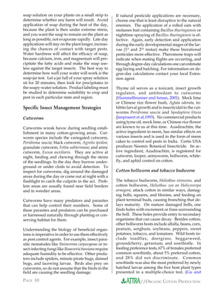 soap solution on your plants on a small strip to       If natural pesticide applications are necessary,
determine whether any harm will result. Avoid          choose one that is least disruptive to the natural
application of soap during the heat of the day,        enemies. The application of a rolled oats with
because the plant is then under extreme stress,        molasses bait containing Bacillus thuringiensis or
and you want the soap to remain on the plant as        nighttime spraying of Bacillus thuringiensis is ef-
long as possible, not evaporate rapidly. Late day      fective. Again, early detection and application
applications will stay on the plant longer, increas-   during the early developmental stages of the lar-
ing the chances of contact with target pests.          vae (1st and 2nd instar) make these biorational
Water hardness will affect the efficacy of soap,       pesticides more effective. Pheromone traps will
because calcium, iron, and magnesium will pre-         indicate when mating flights are occurring, and
cipitate the fatty acids and make the soap use-        through degree-day calculations one can estimate
less against the target insects. The best way to       egg laying and hatching. For information on de-
determine how well your water will work is the         gree-day calculations contact your local Exten-
soap-jar test. Let a jar full of your spray solution   sion agent.
sit for 20 minutes, then look for precipitates in
the soapy-water solution. Product labeling must        Thyme oil serves as a toxicant, insect growth
be studied to determine suitability to crop and        regulator, and antifeedant to cutworms
pest in each particular state and region.              (Hummelbrunner and Isman, 2001). Mock lime
                                                       or Chinese rice flower bush, Aglaia odorata, in-
Specific Insect Management Strategies                  hibits larval growth and is insecticidal to the cut-
                                                       worms Peridroma saucia and Spodoptera litura
Cutworms                                               (Janprasert et al,1993). No commercial products
                                                       using tyme oil, mock lime, or Chinese rice flower
Cutworms wreak havoc during seedling estab-            are known to us at this time. Azadirachtin, the
lishment in many cotton-growing areas. Cut-            active ingredient in neem, has similar effects on
worm species include the variegated cutworm,           various insects and is used in the form of neem
Peridroma saucia; black cutworm, Agrotis ipsilon;      cakes to control soil pests in India. Certis USA
granulate cutworm, Feltia subterranea; and army        produces Neemix Botanical Insecticide. Its ac-
cutworm, Euxoa auxiliaris. They are active at          tive ingredient, Azadirachtin, is registered for
night, feeding and chewing through the stems           cutworm, looper, armyworm, bollworm, white-
of the seedlings. In the day they burrow under-        fly, and aphid control on cotton.
ground or under clods to avoid detection. To
inspect for cutworms, dig around the damaged           Cotton bollworm and tobacco budworm
areas during the day or come out at night with a
flashlight to catch the culprits in the act. Prob-     The tobacco budworm, Heliothus virescens, and
lem areas are usually found near field borders         cotton bollworm, Heliothus zea or Helicoverpa
and in weedier areas.                                  armigera, attack cotton in similar ways, damag-
                                                       ing bolls, squares, and blooms, and feeding on
Cutworms have many predators and parasites             plant terminal buds, causing branching that de-
that can help control their numbers. Some of           lays maturity. On mature damaged bolls, one
these parasites and predators can be purchased         finds holes with excrement or frass surrounding
or harnessed naturally through planting or con-        the boll. These holes provide entry to secondary
serving habitat for them.                              organisms that can cause decay. Besides cotton,
                                                       other bollworm hosts include alfalfa, beans, corn,
Understanding the biology of beneficial organ-         peanuts, sorghum, soybeans, peppers, sweet
isms is imperative in order to use them effectively    potatoes, tobacco, and tomatoes. Wild hosts in-
as pest control agents. For example, insect para-      clude toadflax, deergrass, beggarweed,
sitic nematodes like Steinerema carpocapsae or in-     groundcherry, geranium, and sowthistle. In
sect-infecting fungi like Beauveria bassiana require   feeding preference tests, 67% of females preferred
adequate humidity to be effective. Other preda-        common sowthistle, about 5% preferred cotton,
tors include spiders, minute pirate bugs, damsel       and 28% did not discriminate. Common
bugs, and lacewing larvae. Birds also prey on          sowthistle was also the most preferred by newly
cutworms, so do not assume that the birds in the       hatched larvae among the five host plant types
field are causing the seedling damage.                 presented in a multiple-choice test. (Gu and

PAGE 10                                                              //ORGANIC COTTON PRODUCTION
 