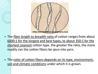 Cotton fiber manufacturing, physical and chemical properties | PPTX