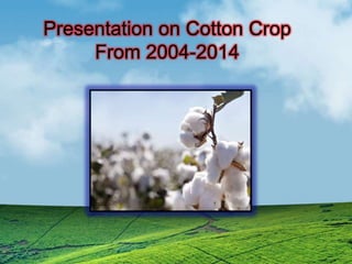 Presentation on Cotton Crop
From 2004-2014
 