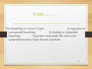 Cont…….
The branching of cotton 2 types a) vegetative or
monopodial branching b) fruiting or sympodial
branching Vegetative stracturally like main stem
sympodial branches bears flowers and fruits
20
 