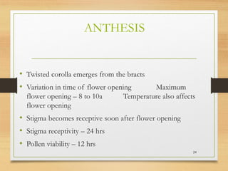 ANTHESIS
• Twisted corolla emerges from the bracts
• Variation in time of flower opening Maximum
flower opening – 8 to 10a Temperature also affects
flower opening
• Stigma becomes receptive soon after flower opening
• Stigma receptivity – 24 hrs
• Pollen viability – 12 hrs
24
 