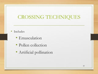 CROSSING TECHNIQUES
• Includes
• Emasculation
• Pollen collection
• Artificial pollination
29
 