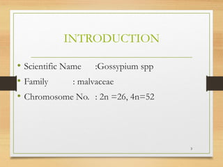 INTRODUCTION
• Scientific Name :Gossypium spp
• Family : malvaceae
• Chromosome No. : 2n =26, 4n=52
3
 
