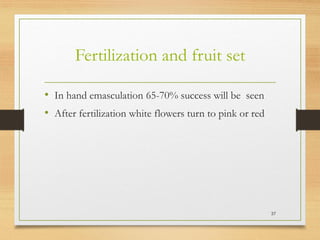 Fertilization and fruit set
• In hand emasculation 65-70% success will be seen
• After fertilization white flowers turn to pink or red
37
 