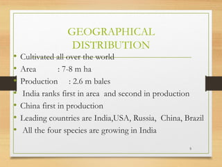 GEOGRAPHICAL
DISTRIBUTION
• Cultivated all over the world
• Area : 7-8 m ha
• Production : 2.6 m bales
• India ranks first in area and second in production
• China first in production
• Leading countries are India,USA, Russia, China, Brazil
• All the four species are growing in India
5
 