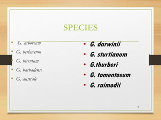 SPECIES
• G. arboreum
• G. herbaceum
• G. hirsutum
• G. barbadense
• G. australe
8
• G. darwinii
• G. sturtianum
• G.thurberi
• G. tomentosum
• G. raimodii
 