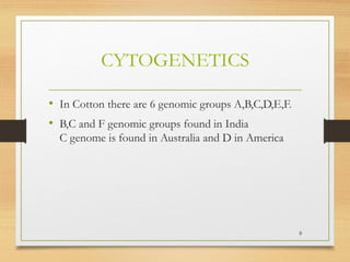 CYTOGENETICS
• In Cotton there are 6 genomic groups A,B,C,D,E,F.
• B,C and F genomic groups found in India
C genome is found in Australia and D in America
9
 