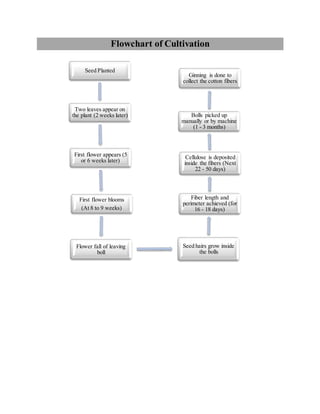 Flowchart of Cultivation
Seed Planted
Two leaves appear on
the plant (2 weeks later)
First flower appears (5
or 6 weeks later)
First flower blooms
(At 8 to 9 weeks)
Flower fall of leaving
boll
Seed hairs grow inside
the bolls
Fiber length and
perimeter achieved (for
16 - 18 days)
Cellulose is deposited
inside the fibers (Next
22 - 50 days)
Bolls picked up
manually or by machine
(1 - 3 months)
Ginning is done to
collect the cotton fibers
 
