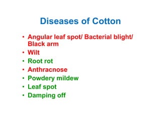 cotton.pdf disease of Cotton with pathogens identification | PDF