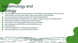 Comprehensive Overview of Major Cotton Diseases and Their Management | PPTX