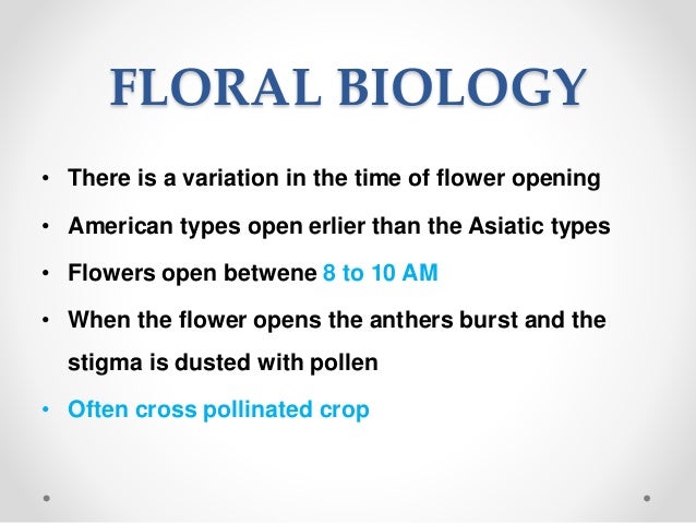 Cotton Origin Floral Structure Biology Breeding Techniques Chal